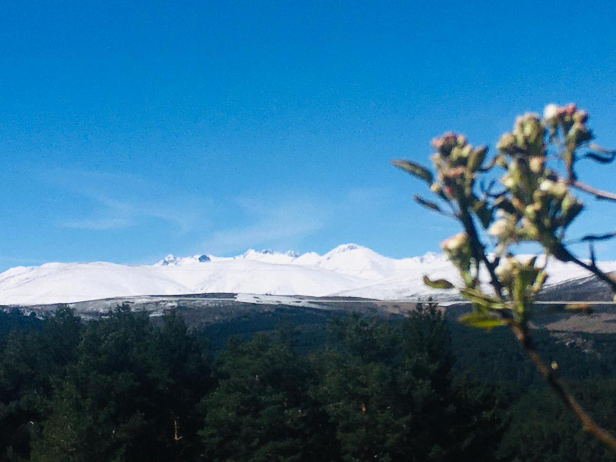 Cara Norte De Gredos Hoyos del Espino Esterno foto